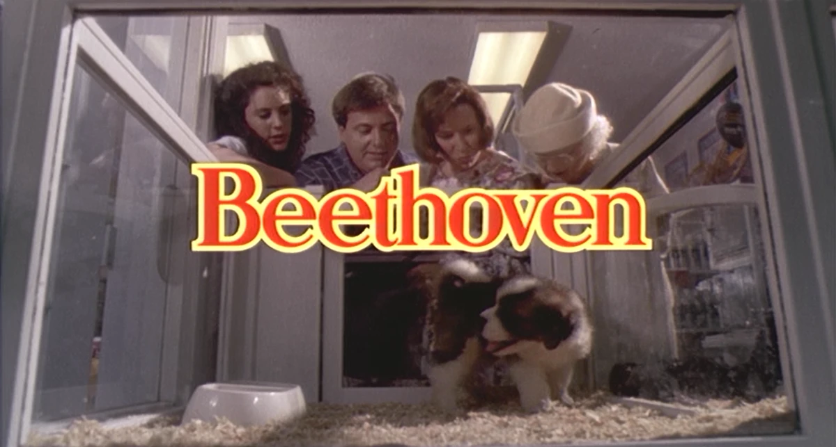 Beethoven (film) Beethoven the Dog Wiki Fandom