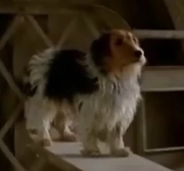 4F7BFEA4-D841-4D9C-9135-ACF56A90B30C