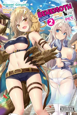 Light Novel Volume 2