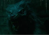 George Sands' wolf form