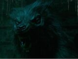 Werewolf (BBC)