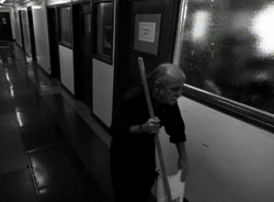 Janitor