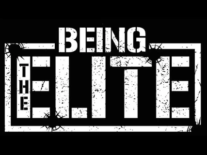 Being The Elite Wiki