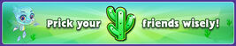 Cactus centerpiece