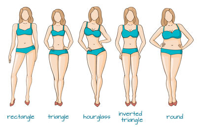 Body-Types