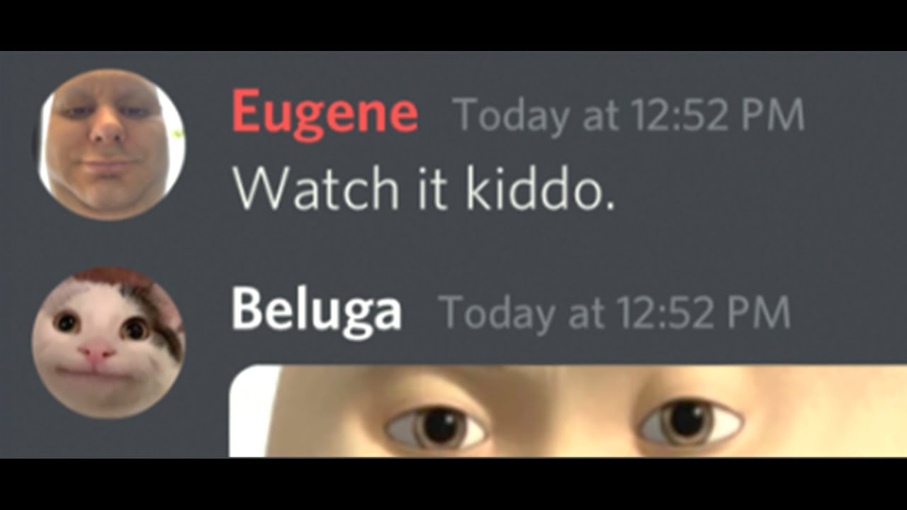 beluga cat discord pfp | Magnet