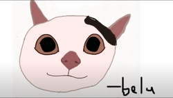 Polite Cat (Beluga) Drawing By GalaxyBlox by GalaxyBlox on DeviantArt