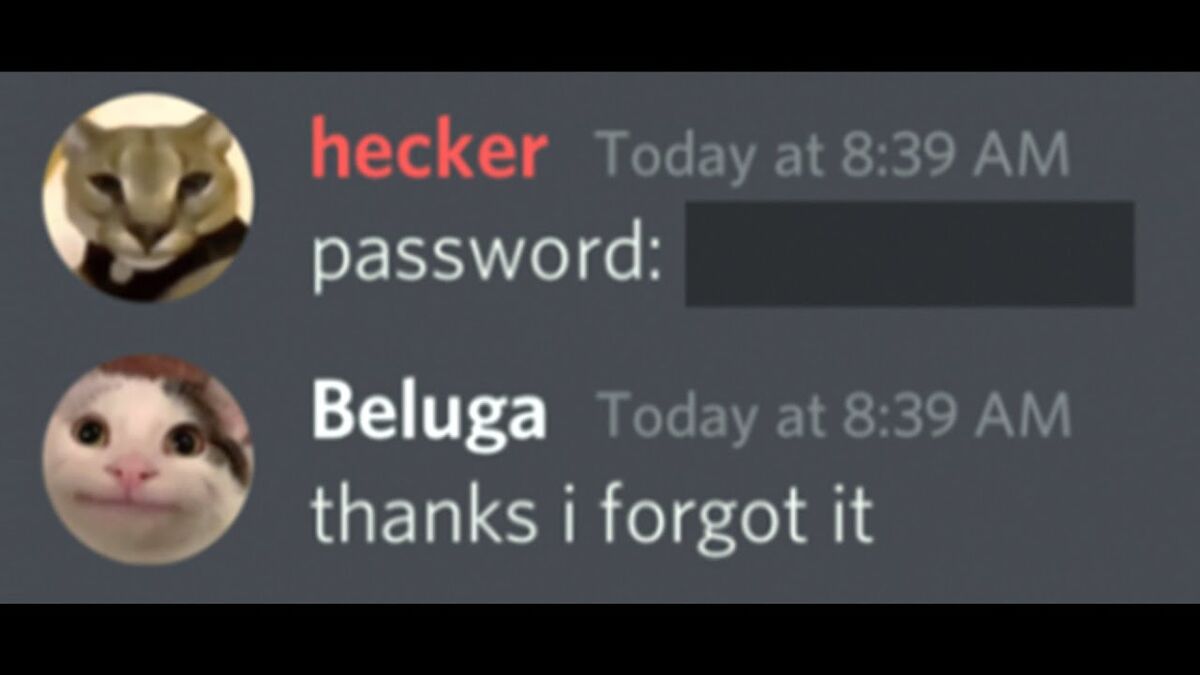 When a Hacker Finds Your Password... The Beluga Cinematic Universe