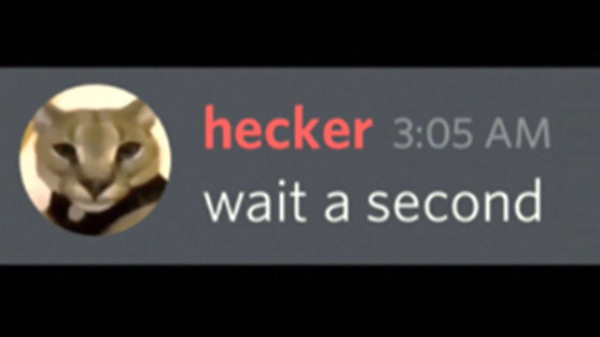 When a Hacker meets another Hacker... The Beluga Cinematic Universe