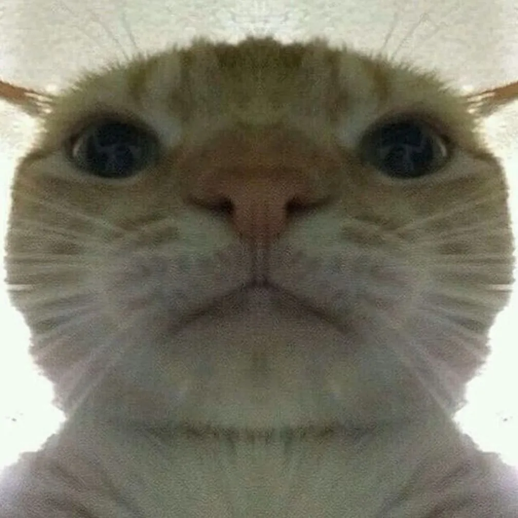 Swag Cat - Discord Pfp