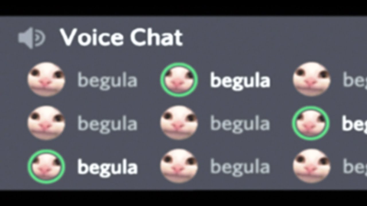 How Beluga CRUSHED The  Algorithm and Discord 