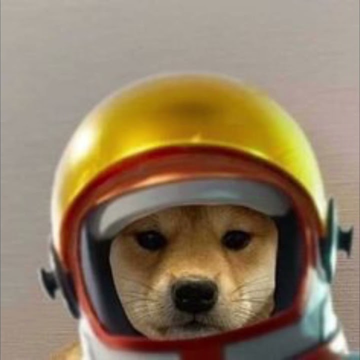 SUPREME Dogwifhat, Dogwifhat