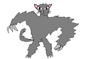 Meo