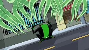 Bullfrag inflando o peito