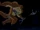 BcMc (18).png