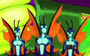 Lepidopterranos TabberRB