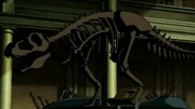 Tyrannosaurus skeleton