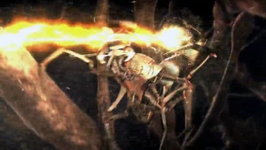 Bio-Electricity Generation