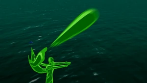 Cytoplasm Projection