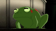 The Mutant Frog before mutation