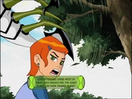 Lepidopterrans spend most of their lives harvesting the giant plants on their swampy planet