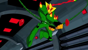 Látigos de liana (después de florecer).