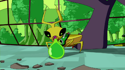 Ball Weevil, Wiki Aliens do Ben 10