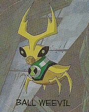 Ball Weevil.jpg