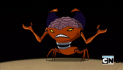 Dansing crab 001.png
