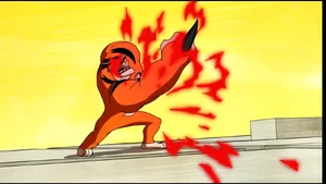 Fire/Heat Resistance