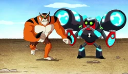 omni enhanced overflow