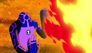 Vulnerability to Fire