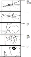 TWG Storyboard 36