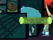 Look there's a Tetramand and a Galvanic Mechomorph on the screens