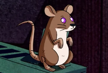 El espécimen VNM-3 transformado en una rata.