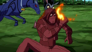 Fire Vulnerability (Wood Form)