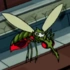 Mutant mosquito character