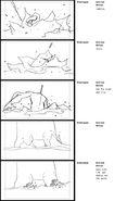 TWG Storyboard 59