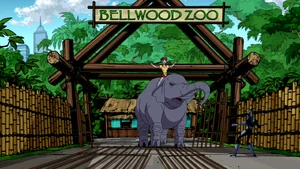 Bellwood Zoo