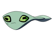 Driba as a tadpole