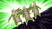 Limax.png
