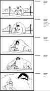 TWG Storyboard 44