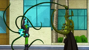 Generación de vides.