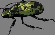 HS ConceptArt Beetle
