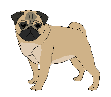 Pug Dup - Anime Style Live Wallpaper - free download