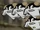 The Great Migration