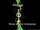 Ben 10: Hero of the Universe
