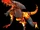 Fire Salamander
