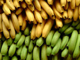 Bananasapiens