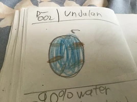 5754B850-4663-430B-AB86-208982B544A5